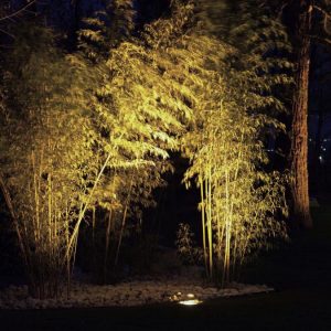 Morelight tuinverlichting grondspots buitenverlichting tuin verlichting