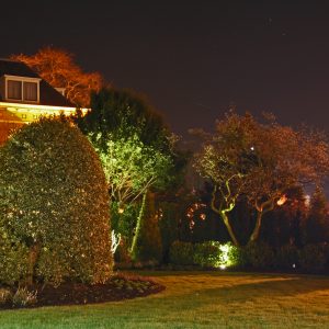 Morelight tuinverlichting grondspots buitenverlichting tuin verlichting